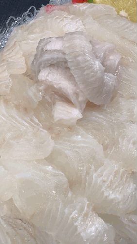 Thick Sashimi Texture