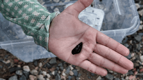 Wanju Valley: No Free Picnic Spots, Bring Your Mat!