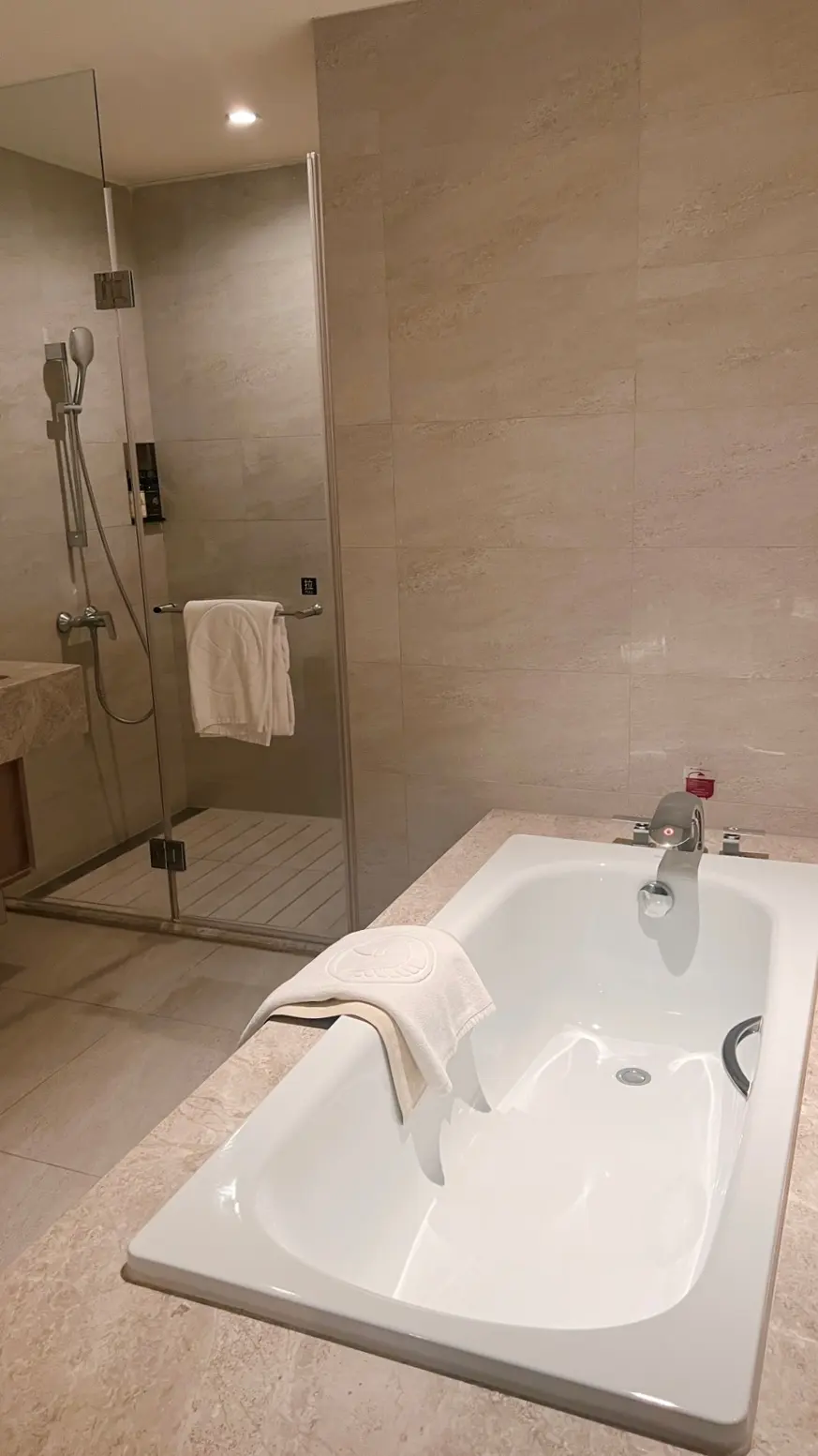 Separate Bathtub and Shower