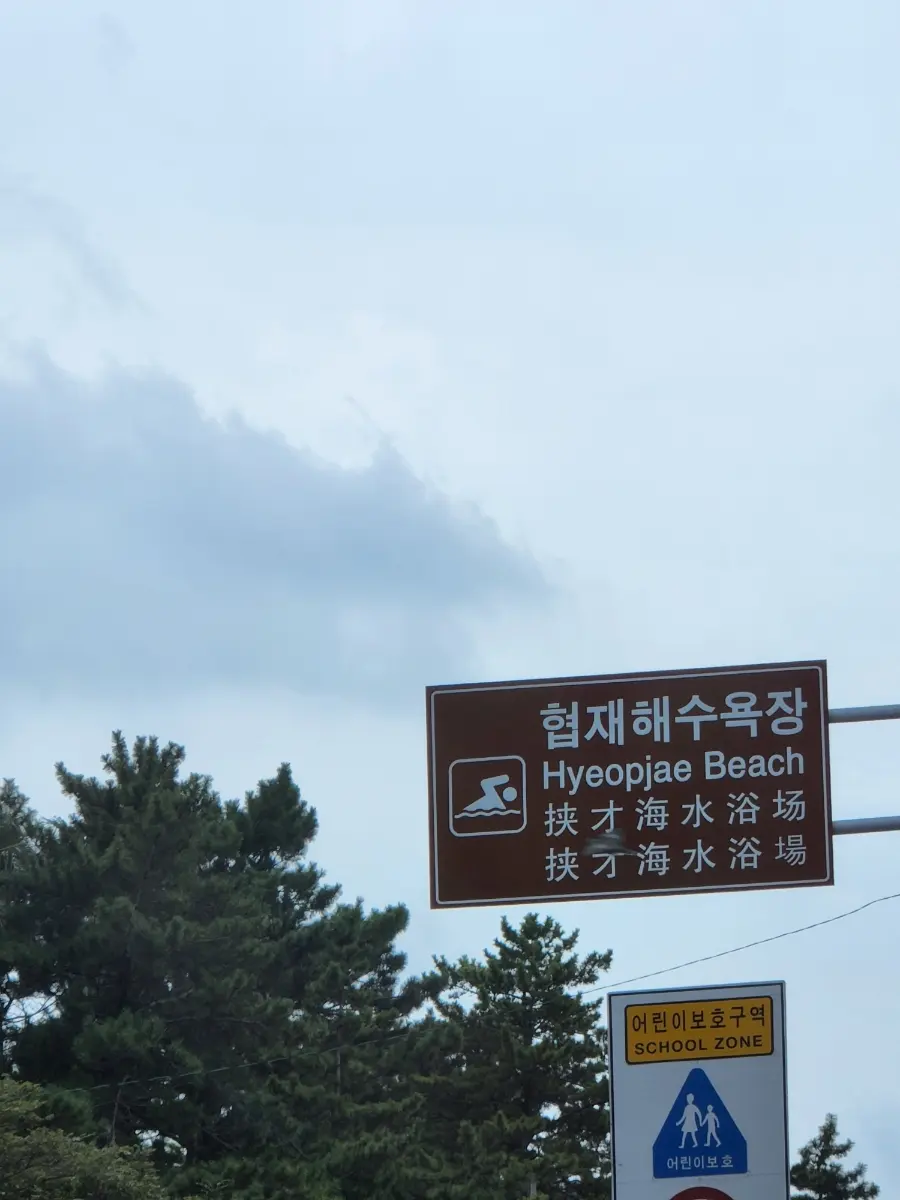 Charming Local Jeju Alley