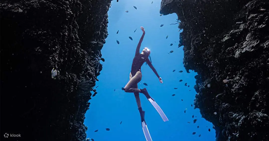 Experience an Exciting Freediving Tour at Napaling Reef and Witness the Enchanting Sardines - Klook