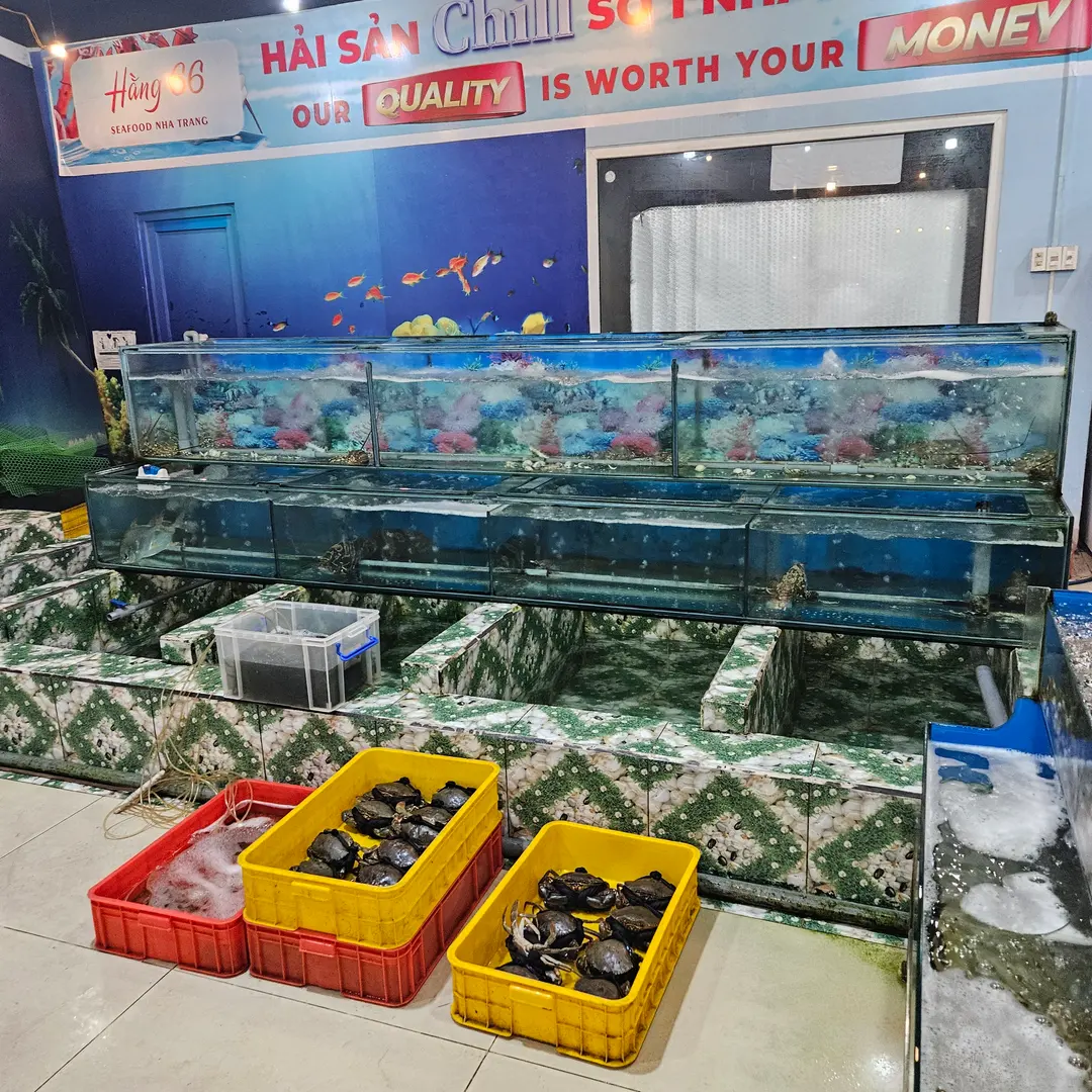 Fresh seafood selection at Hang 66