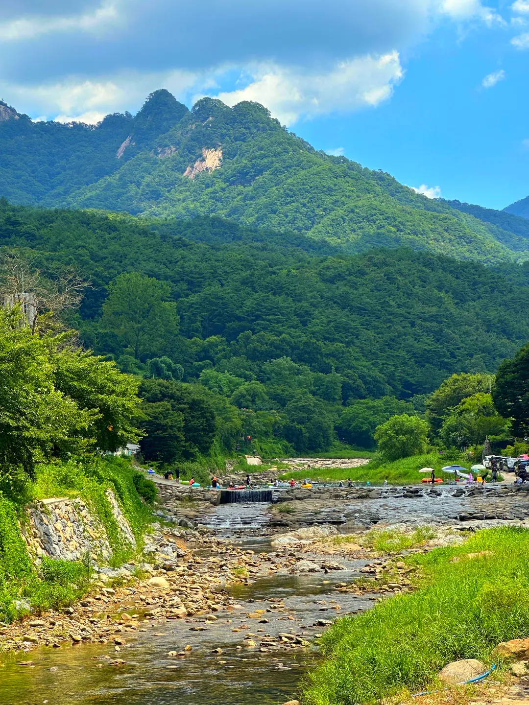Lush green trees shading the running valley water