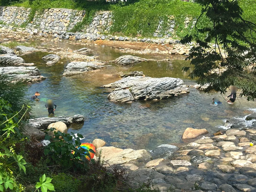 Looking closely at the clear water and river stones