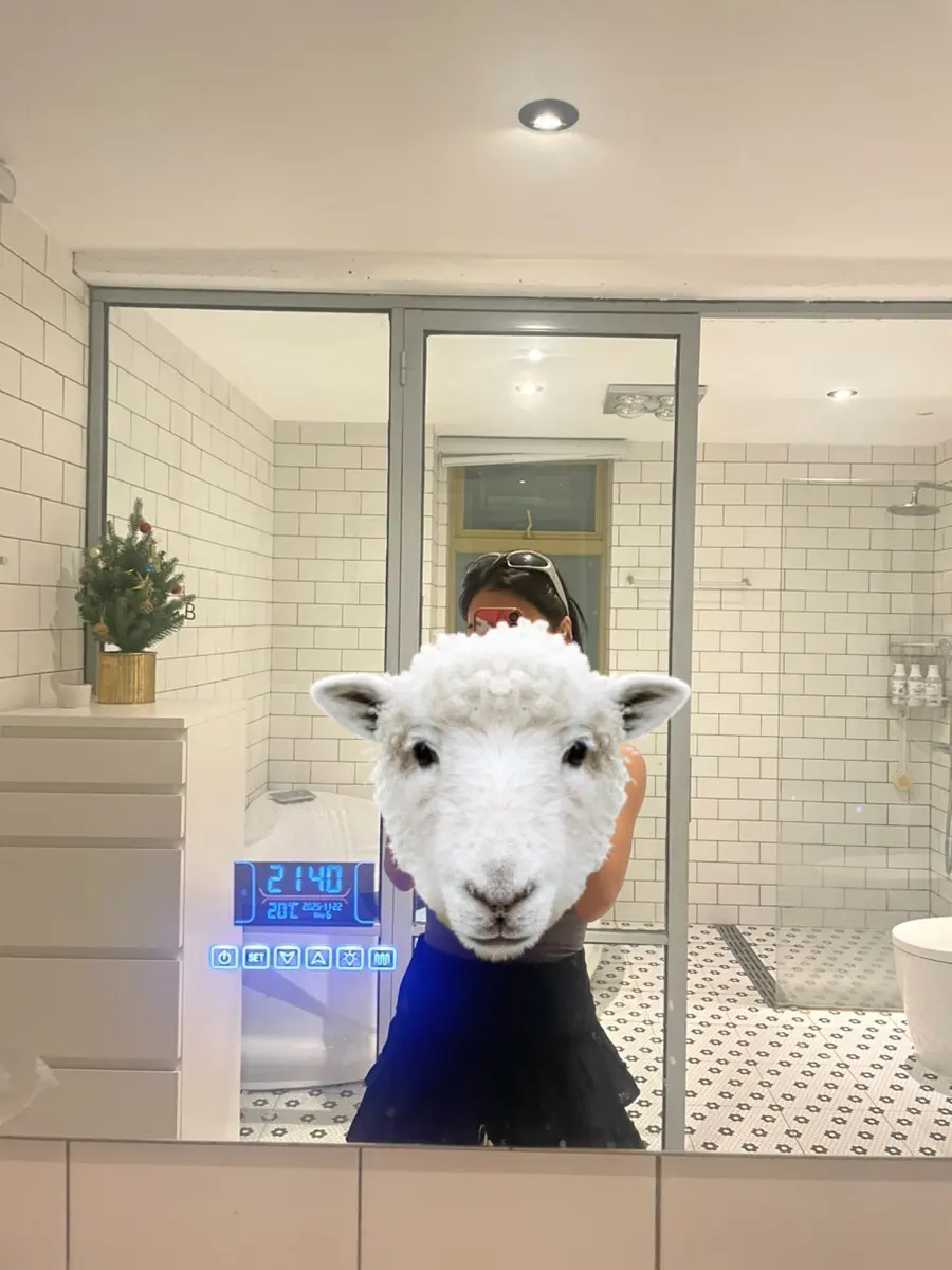 상하이 동방명주 야경뷰 호텔 추천 , 가성비