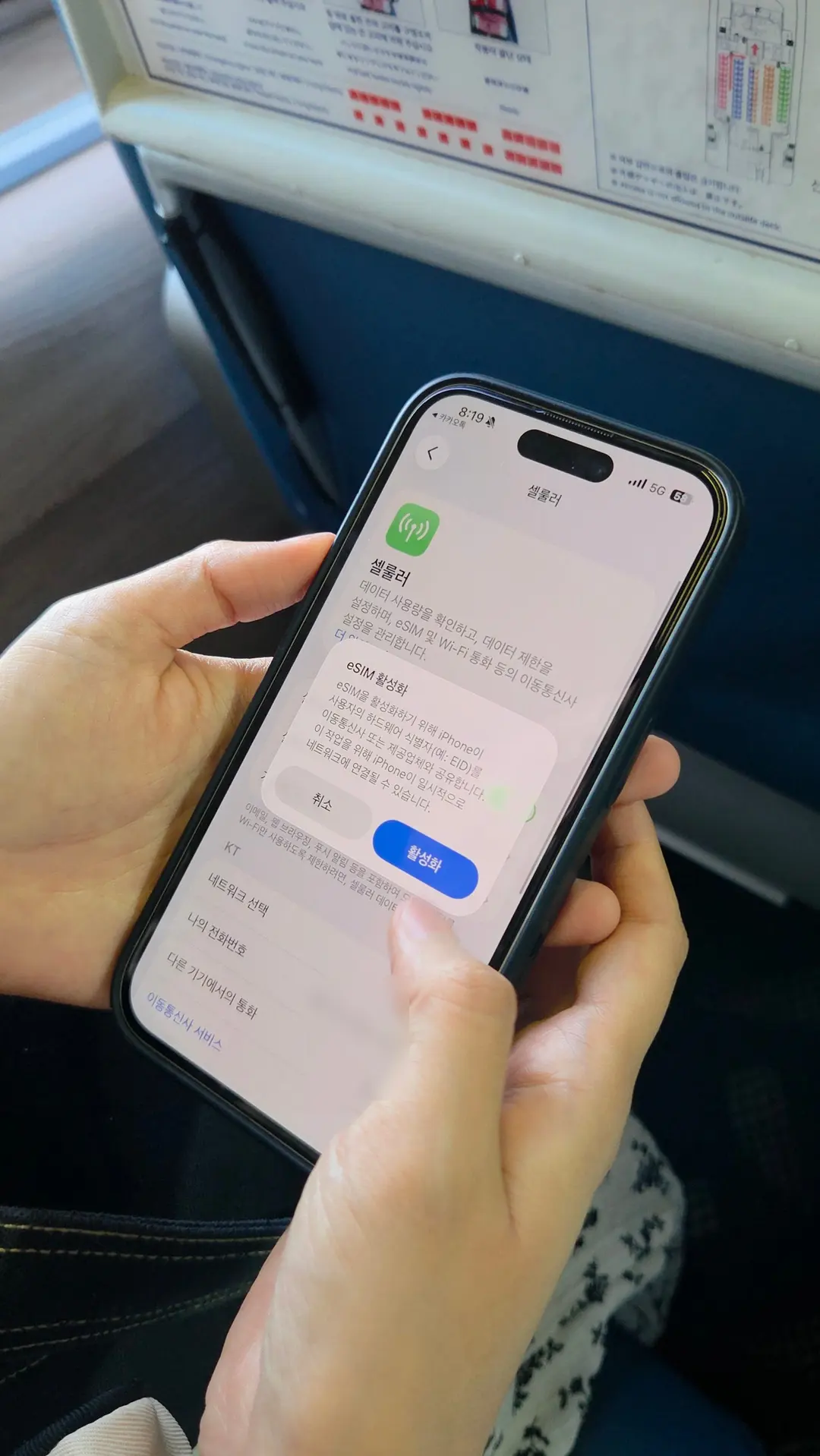 eSIM Activation Screen