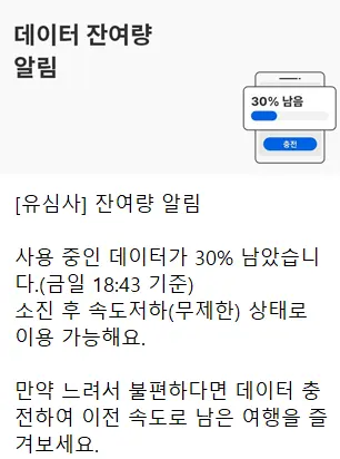 eSIM Data Usage Alert