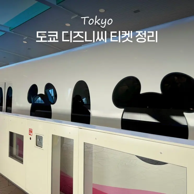도쿄 디즈니랜드 디즈니씨 오픈런 입장 티켓 어플 DPA 공홈 비교