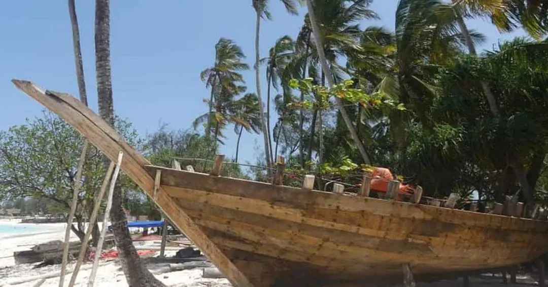 5 Hours Nungwi and Turtle Sanctuary Guided Tour from Zanzibar - Klook