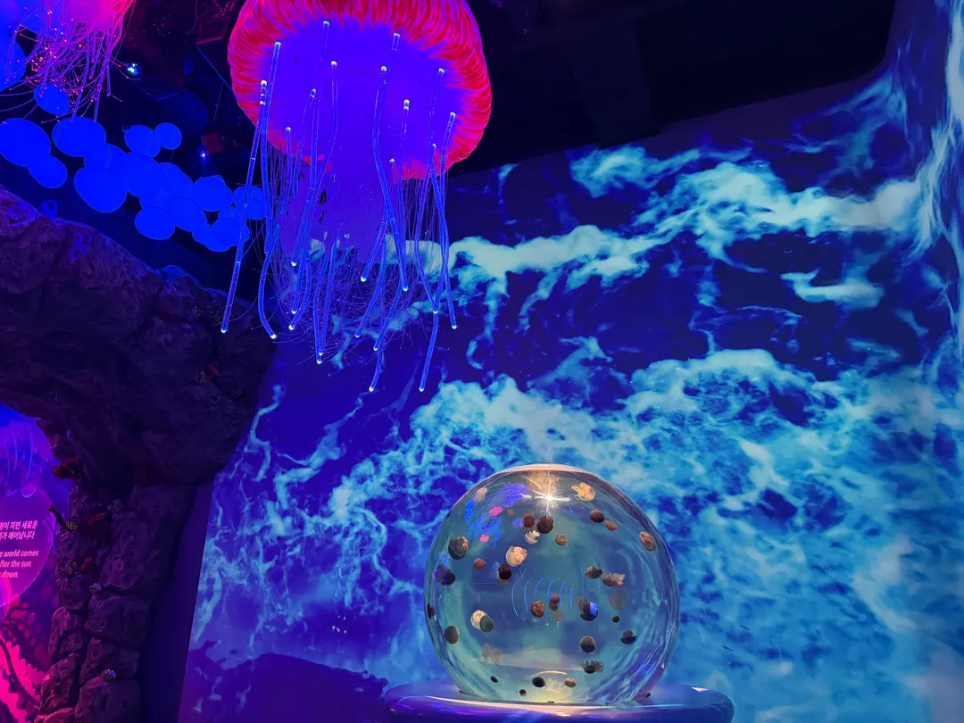 Starry Sea Jellyfish Zone
