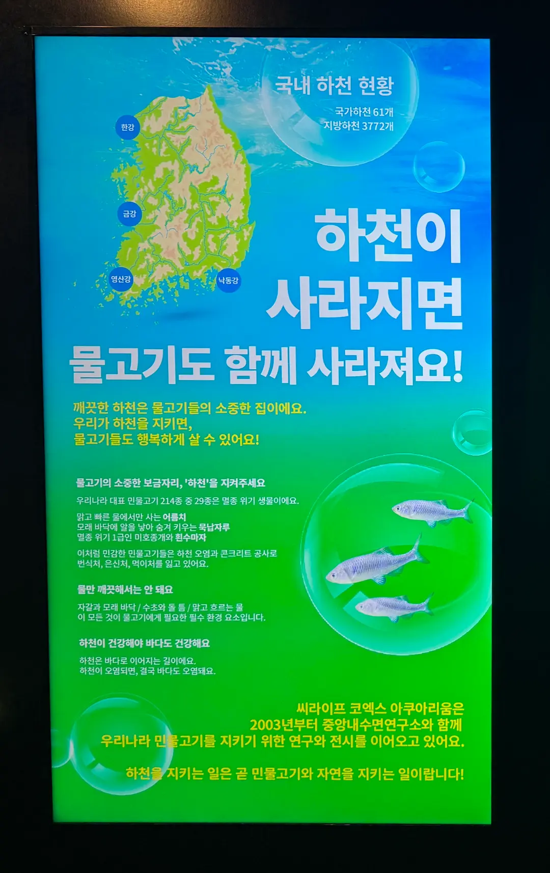 Information on Our Native Fish Zone
