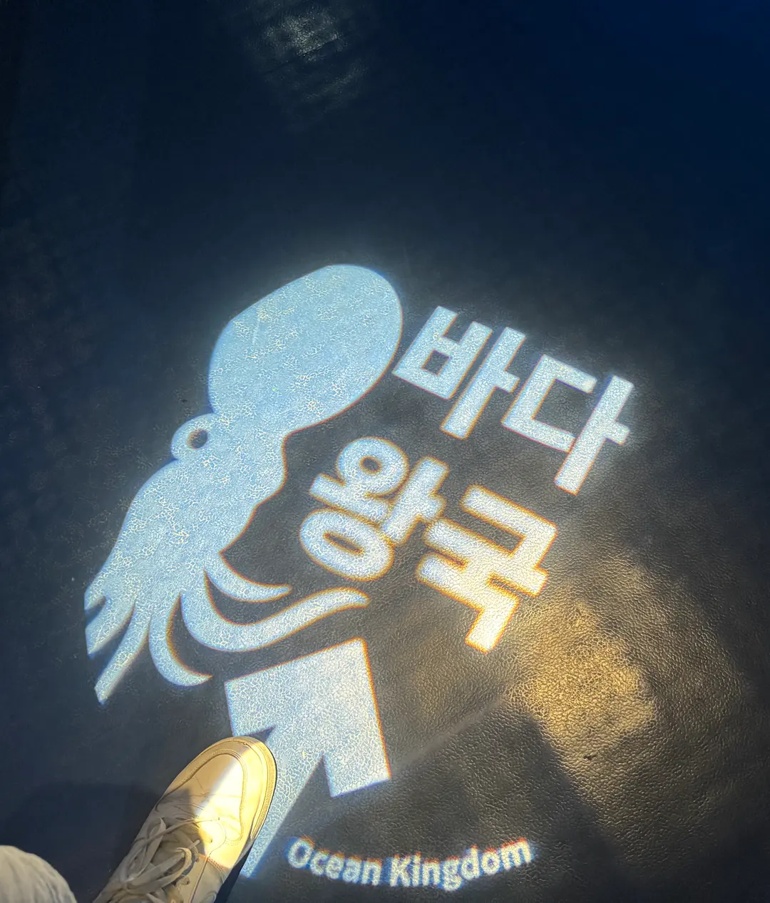 COEX Aquarium Ocean Kingdom