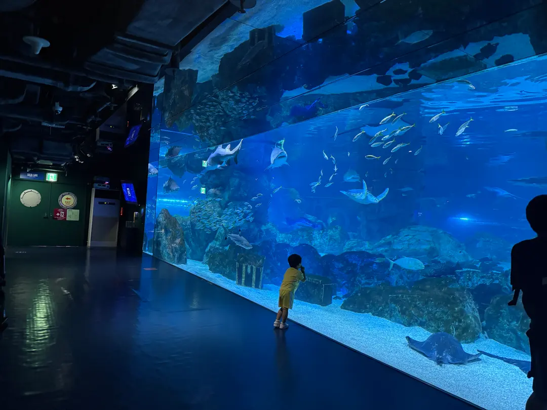 Mini Ocean Tank
