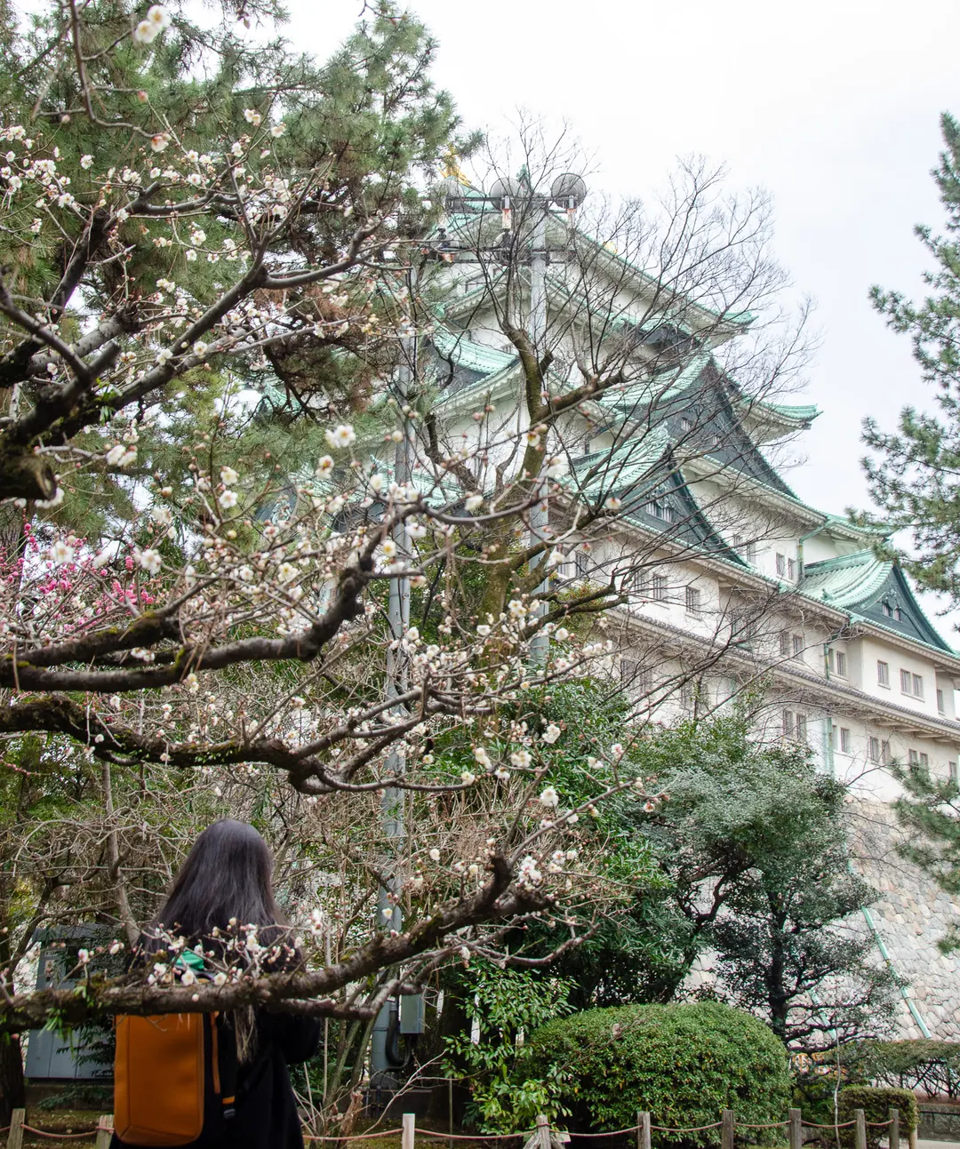 名古屋城天守閣周邊