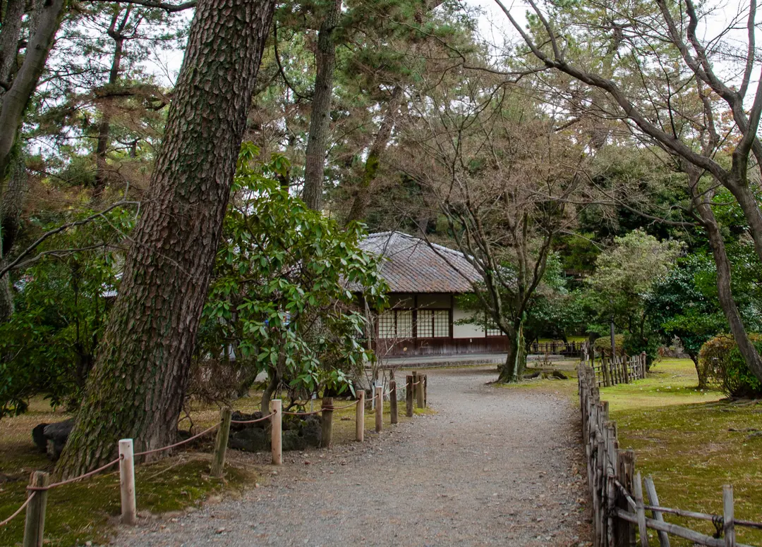 名古屋城天守閣與花卉