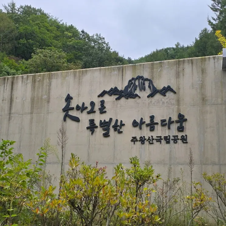 周王山から龍淵滝まで秋の山行体験記 家族と一緒のヒーリング旅行