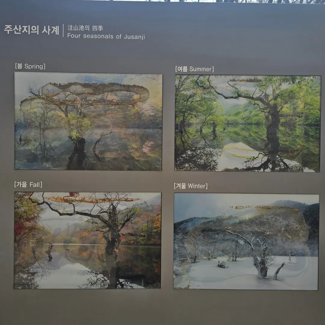 注山池の四季
