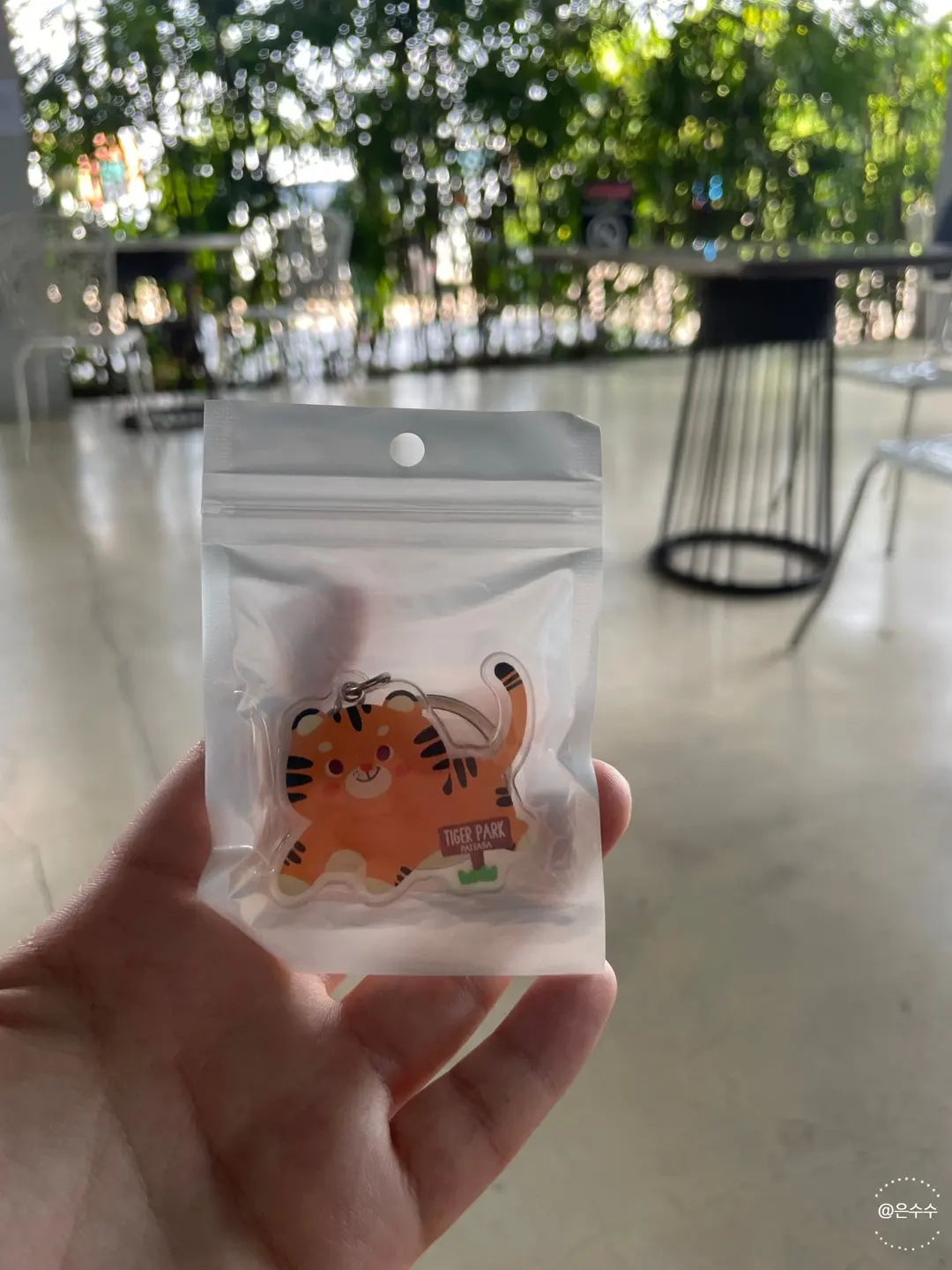 芭達雅老虎園紀念品商店