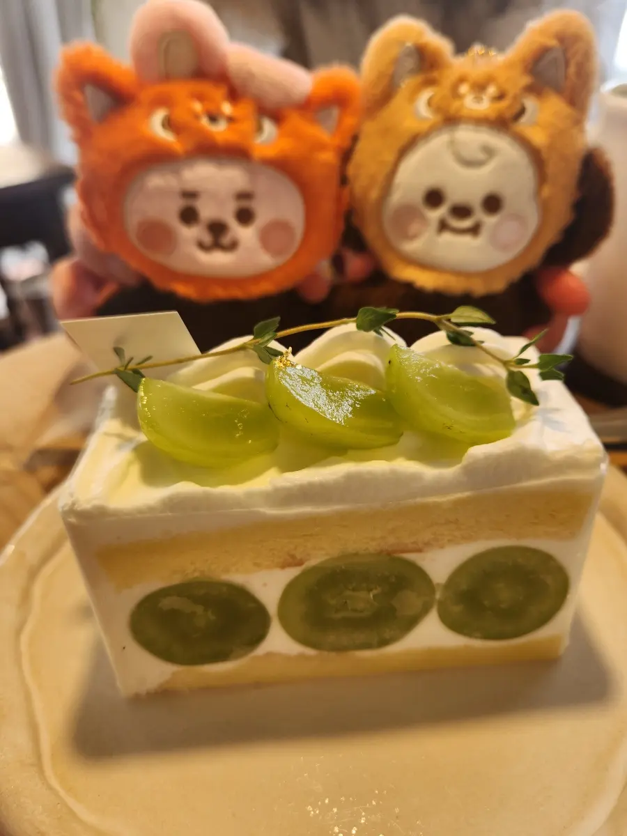 メロンケーキとシャインマスカットケーキ
