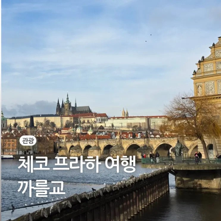 체코 프라하 여행 까를교 동상 카를교 소원 비는 법 강아지 야경 근처 호텔