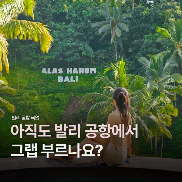 발리 새벽 도착 우붓 이동 공항 픽업 택시 클룩 내돈내산 추천 비교