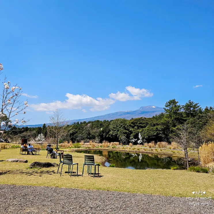Jeju Trip: Discover Damsoyo, a Charming Outdoor Garden Cafe for Healing in Seogwipo Namwon