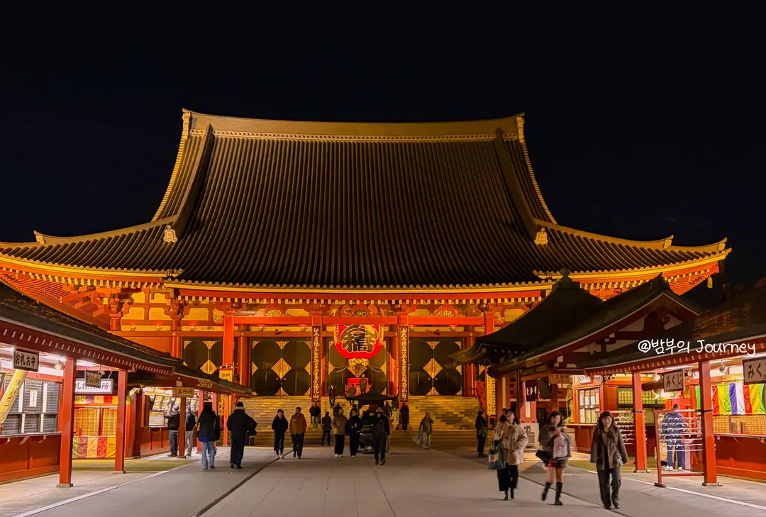 浅草寺 夜景 本堂