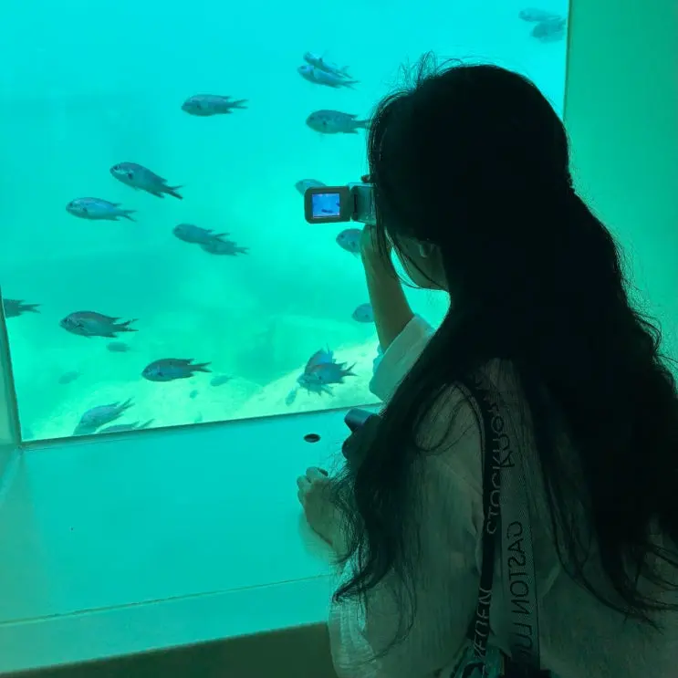 鬱陵島（ウルルンド）2泊3日 2日目 1日で観光地5ヶ所＋シュノーケリング2回