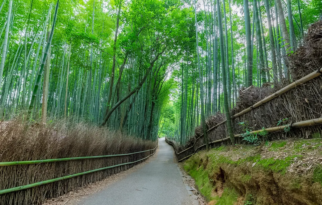 @구글 지도