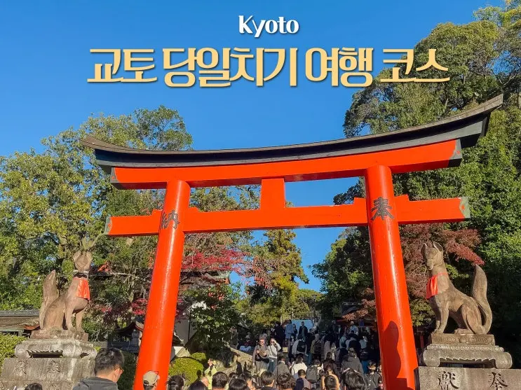 오사카 교토 당일치기 여행 일정 코스 버스투어 추천