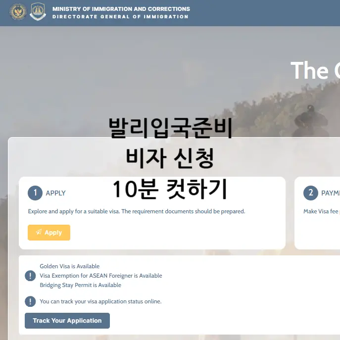 발리 전자비자 신청 방법 입국 발급 준비물