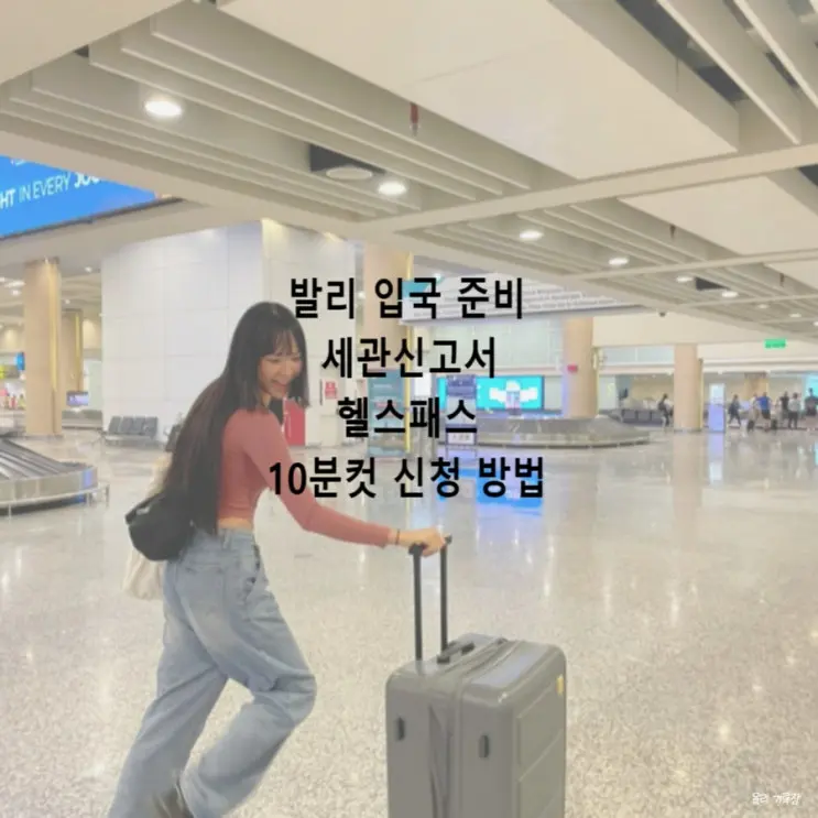 발리 전자 세관신고서 작성 신청 방법 헬스패스 입국 심사