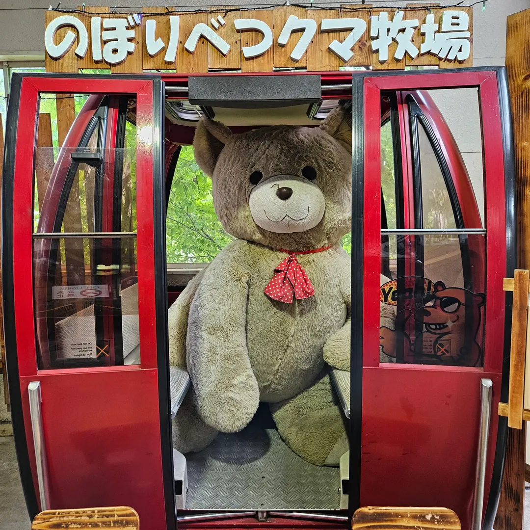 Some cable cars are decorated like this!