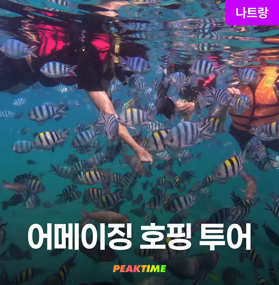 Nha Trang Amazing Hopping Tour Snorkeling Pickup-Dropoff