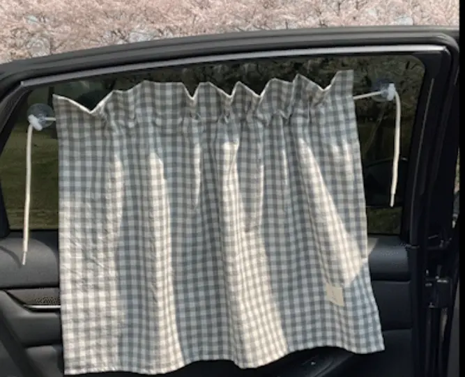 A car's rear side window with a black mesh sunshade attached, seen from the interior.