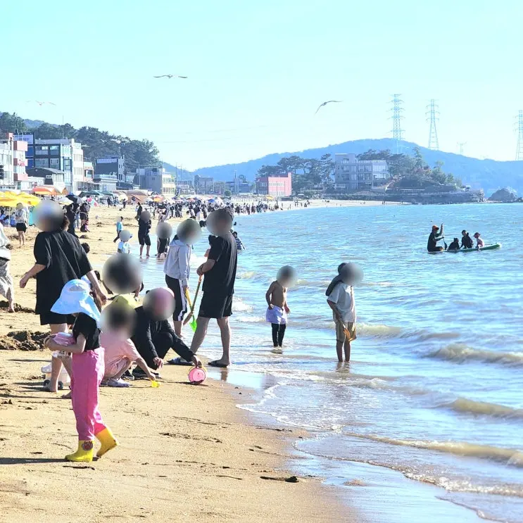 대부도 해수욕장 방아머리해변 주차 물놀이 갯벌체험 샤워시설 총정리