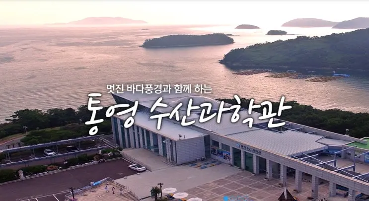 เที่ยวทงยอง: พิพิธภัณฑ์วิทยาศาสตร์การประมงทงยอง สถานที่น่าไปกับเด็กๆ