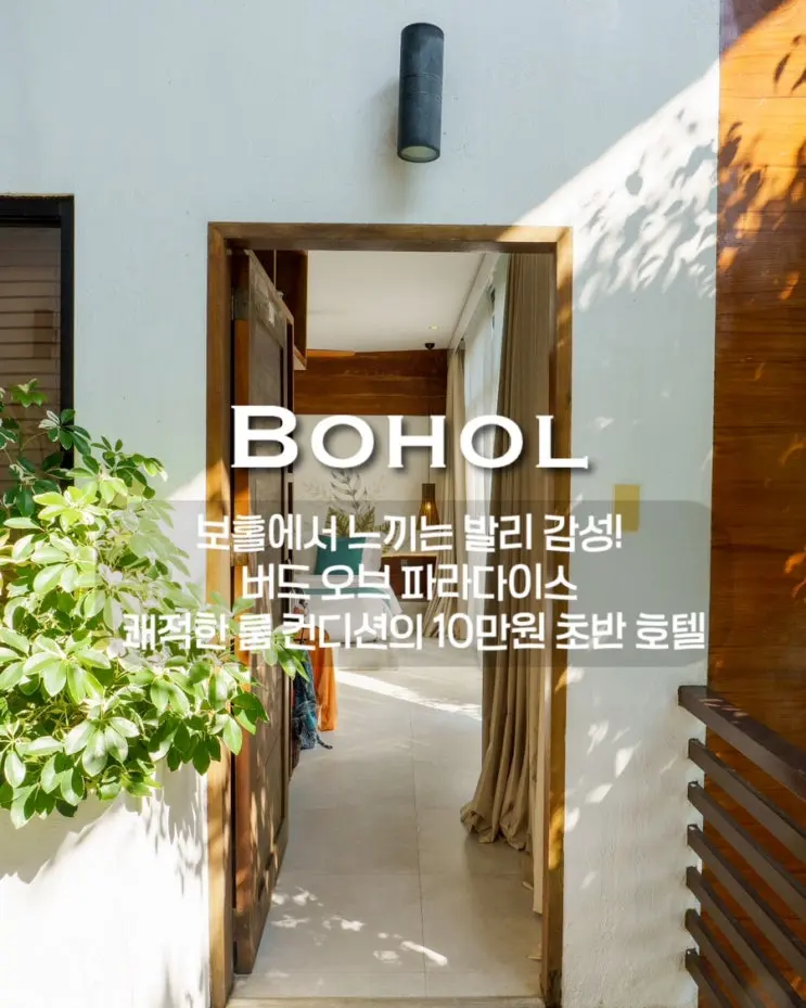 보홀여행 / 보홀에서 느끼는 발리 감성! 버드 오브 파라다이스 쾌적한 룸 컨디션부터 수영장까지 힐링 완벽 정리, 10만원 초반 호텔