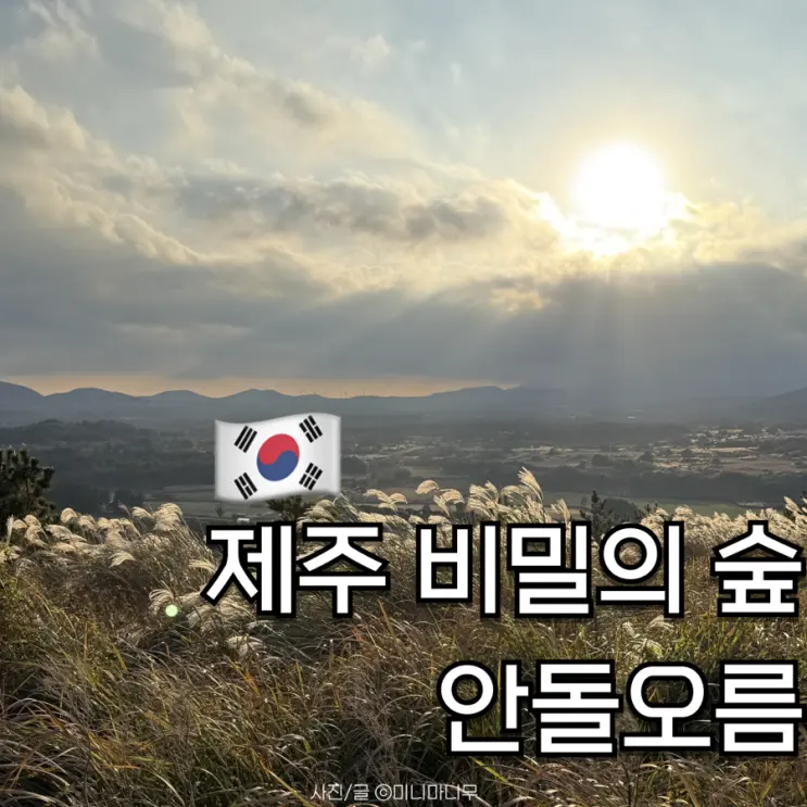 제주 비밀의 숲 안돌오름 주차장 입구 소요시간 후기