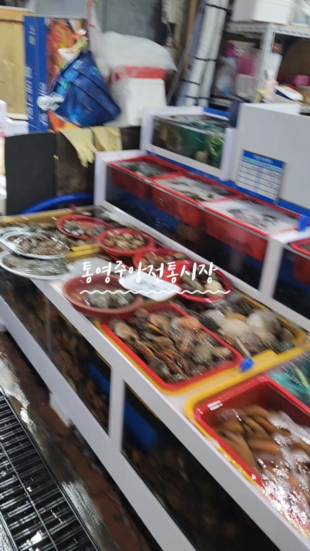 #하이라이트챌린지 #통영여행 #통영중앙전통시장