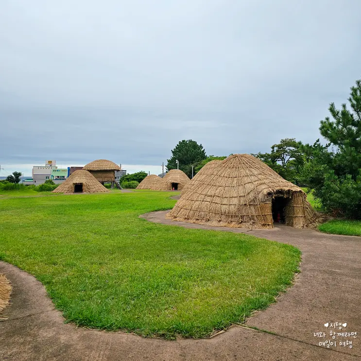 Samyang-dong Prehistoric Site: Free Indoor Attraction in Jeju City for Rainy Days