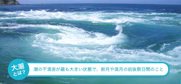 潮見表 | うずしお観潮船【公式サイト】｜人気のうずしおクルーズで大迫力の冒険の旅へ！