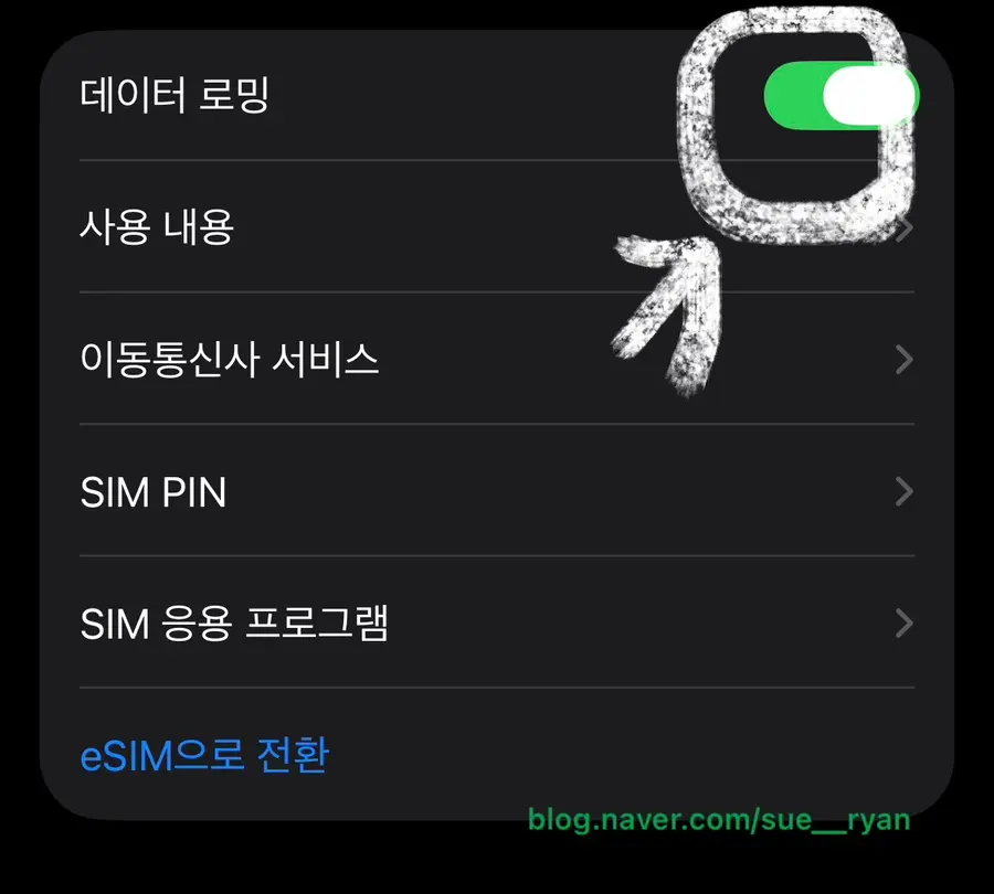 이심 설치후 데이터로밍