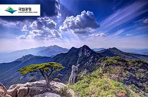 www.knps.or.kr