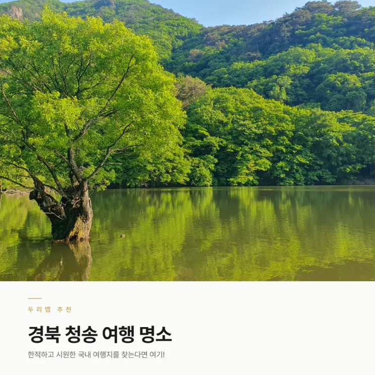 시원한 국내 여행지 경북 청송 가볼만한 곳 여행 코스 추천