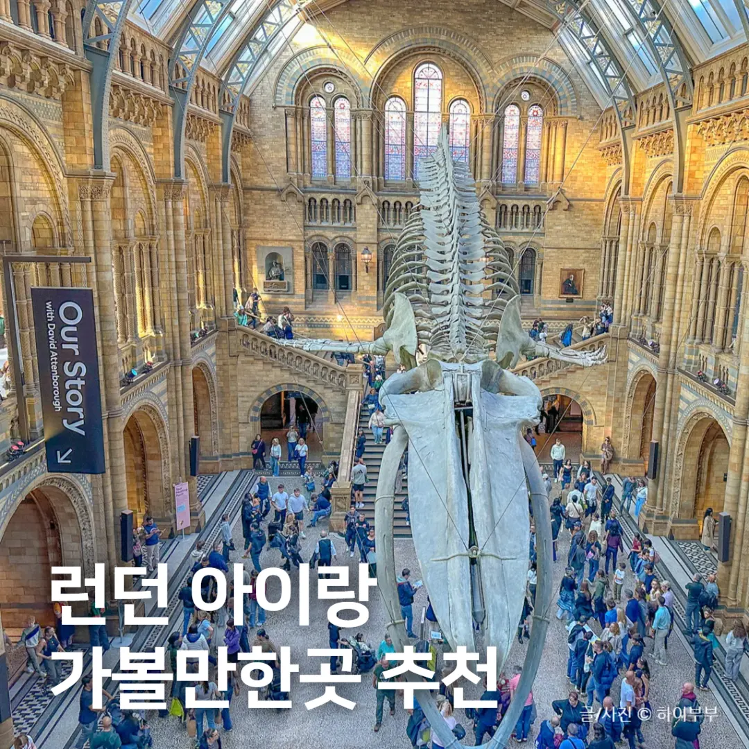 ロンドン子連れ旅行2026｜大英博物館と自然史博物館の見どころ徹底解説