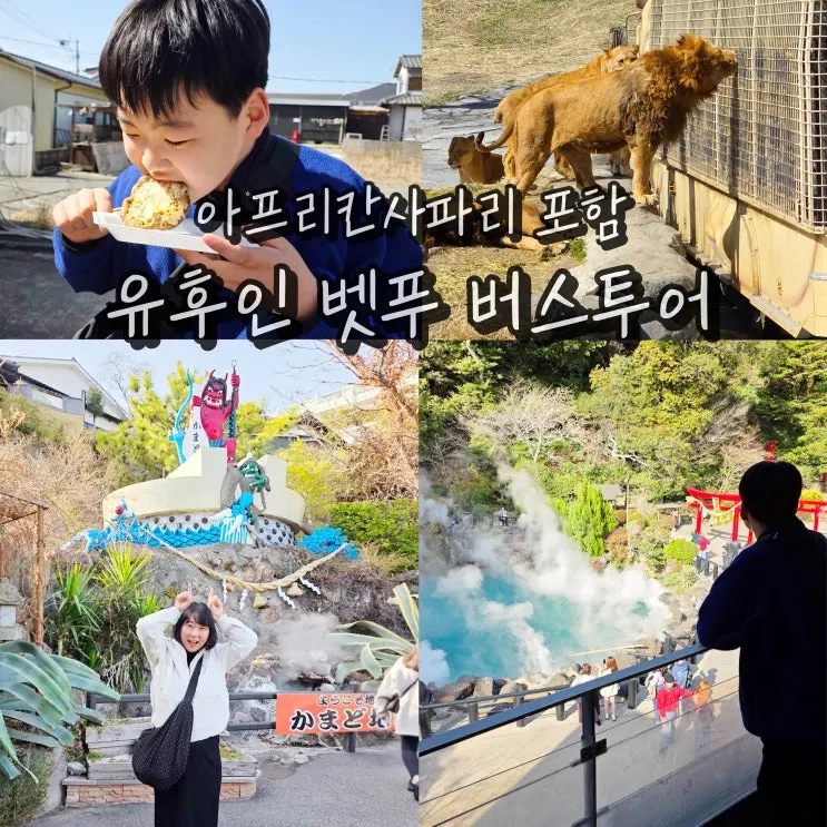 후쿠오카 유후인 벳부 버스투어 아프리칸사파리 가마도 지옥온천