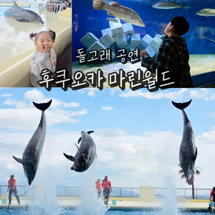 일본 후쿠오카 가볼만한곳 마린월드 우미노나카미치 가족여행