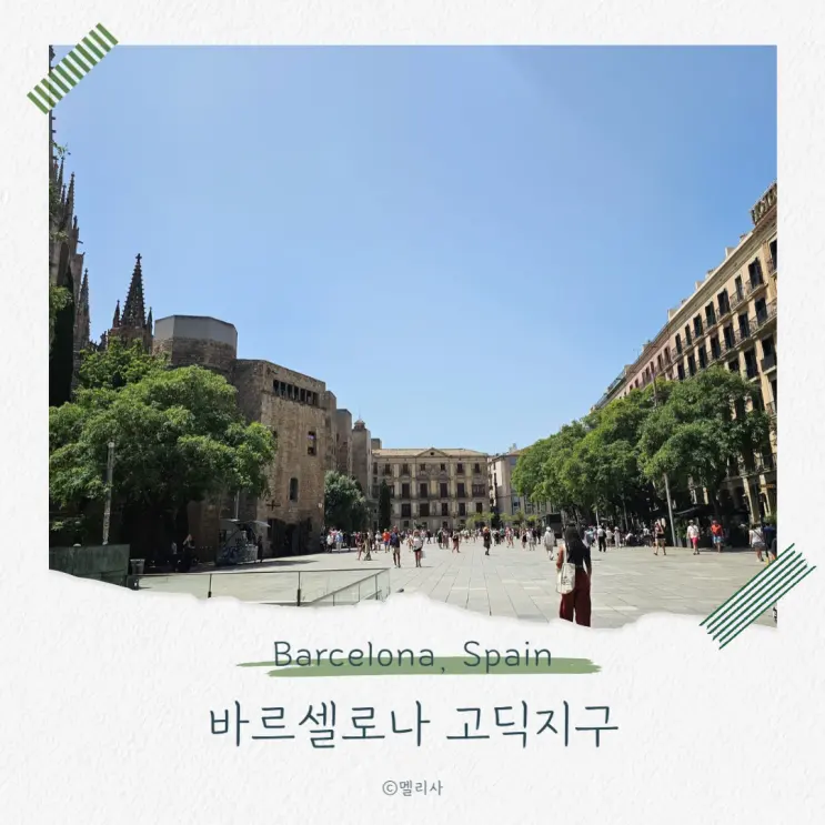 스페인 바르셀로나 고딕 지구 볼거리 추천과 야경 투어 할인