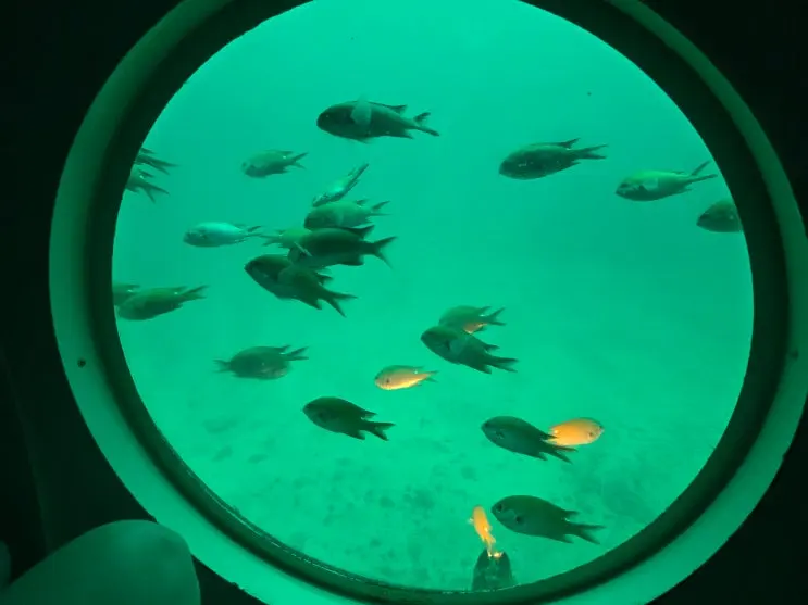 済州（チェジュ）牛島（ウド）潜水艦は乗る価値あり？｜レビューと割引予約方法